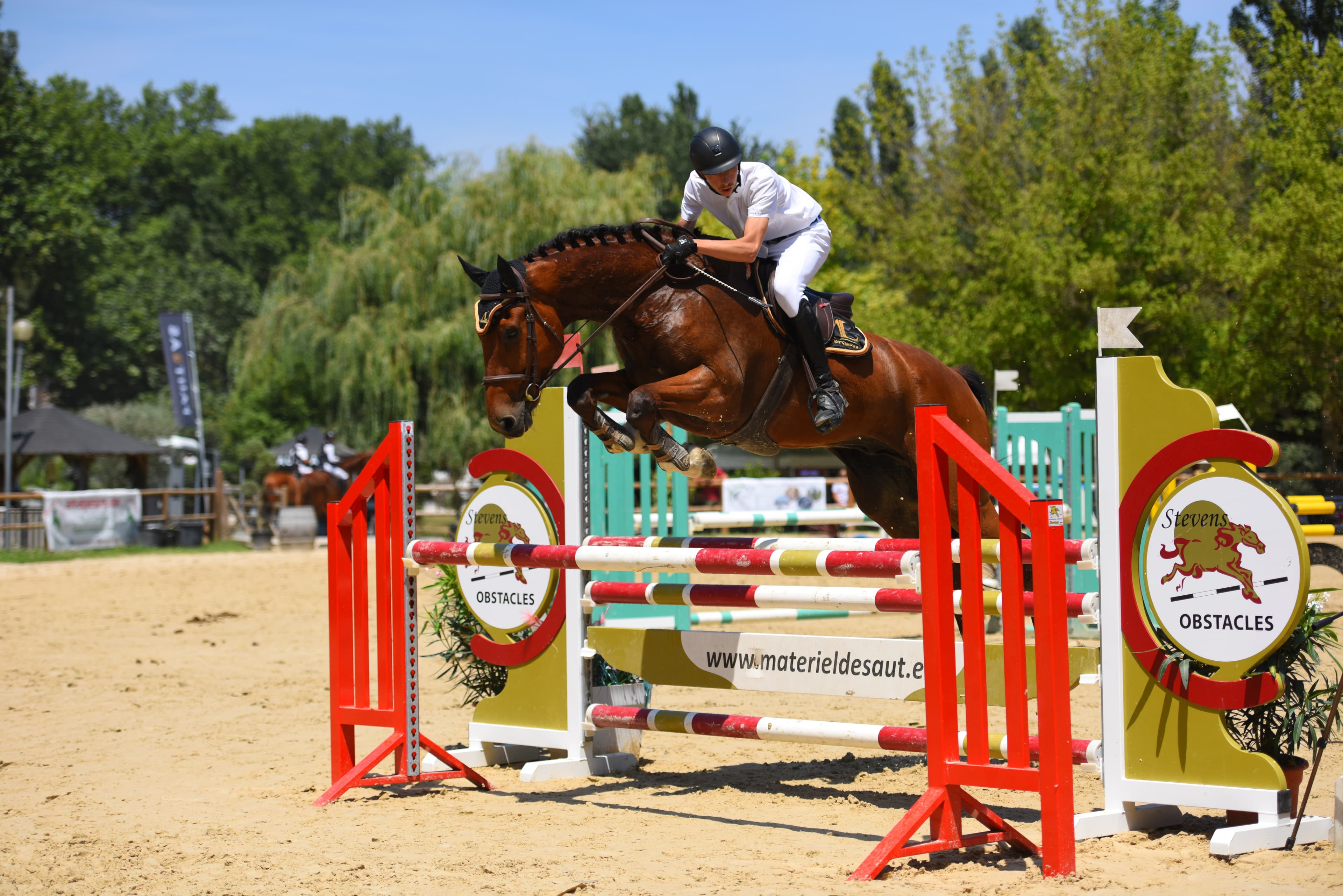 Assurance Équitation & Chevaux